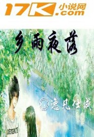 乡雨夜落封面